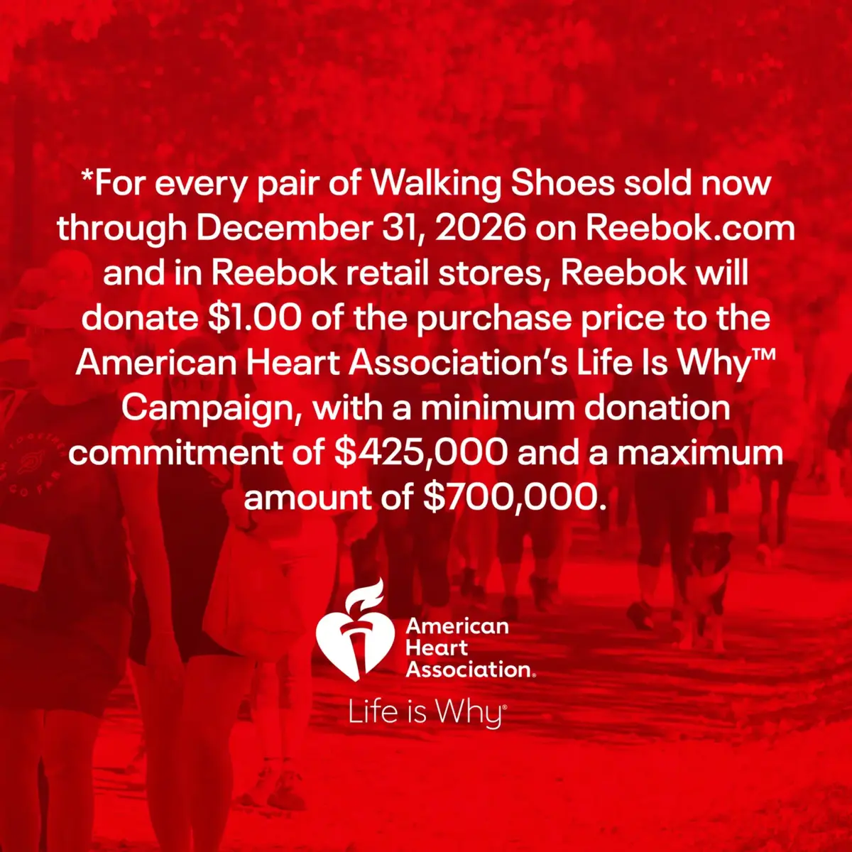 Active Lite Shoes Active Lite Shoes