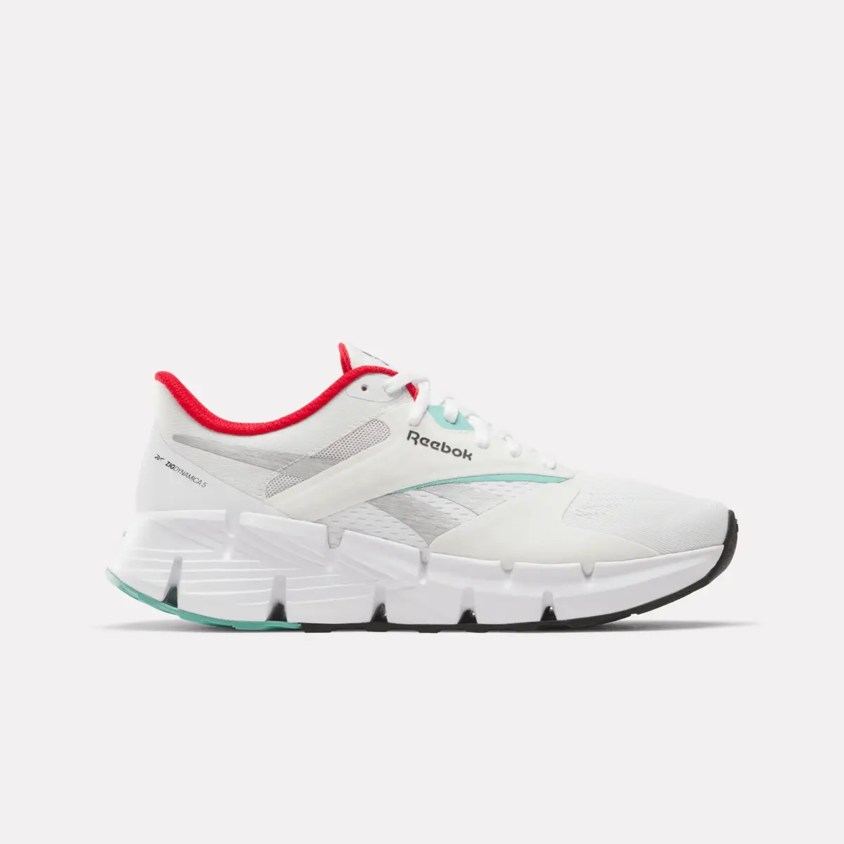 Women’s Zig Dynamica 5 Shoes