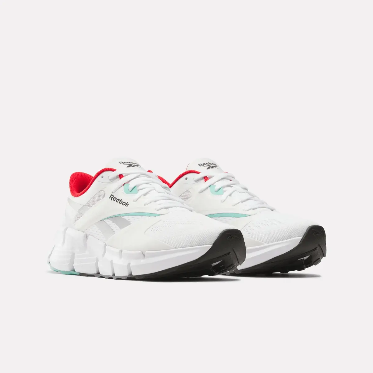 Women’s Zig Dynamica 5 Shoes