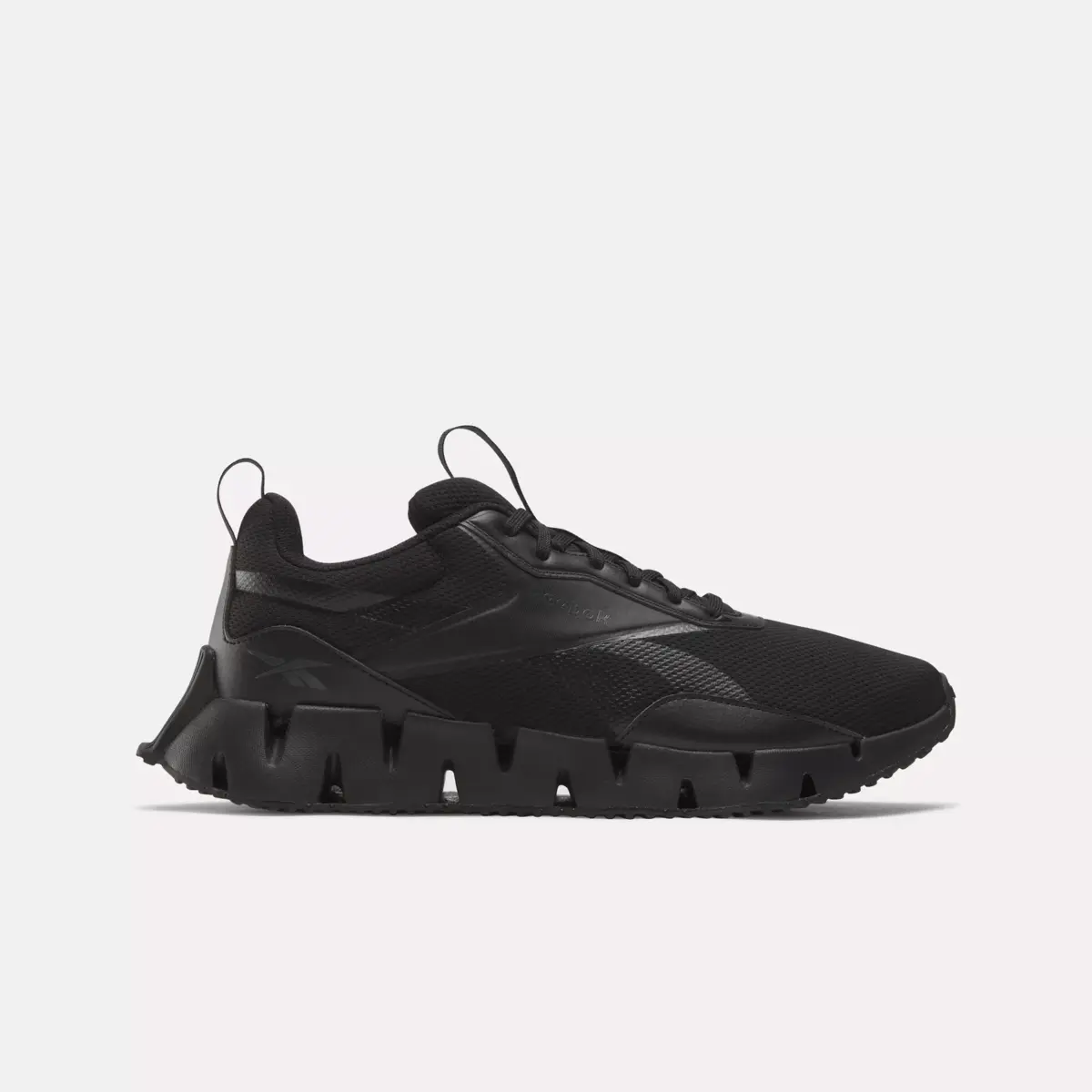 Zig Dynamica STR Shoes